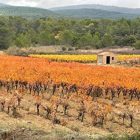 Charming Riverside House In Medieval Village * Villeneuve-Minervois