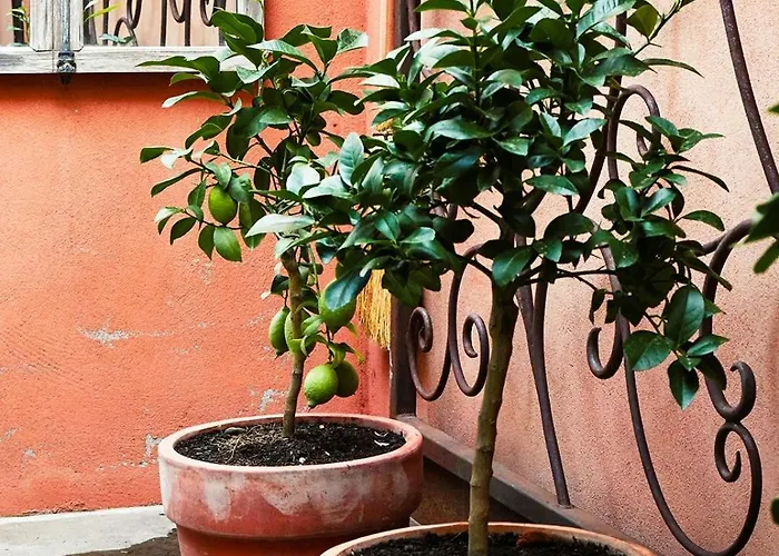 Charming Riverside House In Medieval Village Holiday home Villeneuve-Minervois