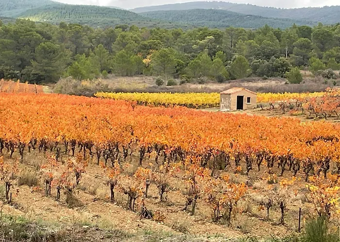 Charming Riverside House In Medieval Village * Villeneuve-Minervois